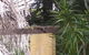 Shady Grove B & B - thumb 7