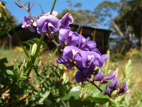 The Coombe On Wilson Inlet - Tourism Guide 4
