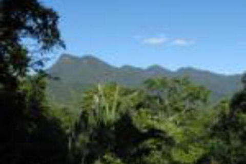 Mossman Gorge Bed & Breakfast - Tourism Guide 0