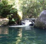 Daintree Secrets Rainforest Sanctuary - Tourism Guide
