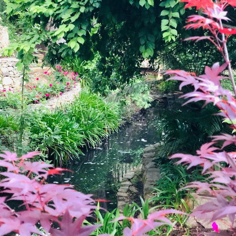 Aldgate Creek Cottage Bed & Breakfast - Travel Search 7