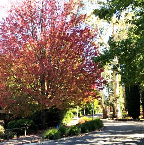 Aldgate Creek Cottage Bed & Breakfast - Travel Search 2