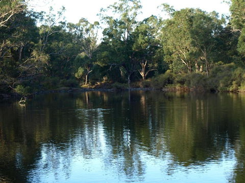 Rickaty On Blackwood - Cruises Travel 5