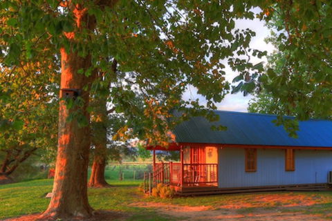 Colac Colac Caravan Park - Travel Agents 5