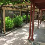 Bluebird Cottage - Tourism Guide 0
