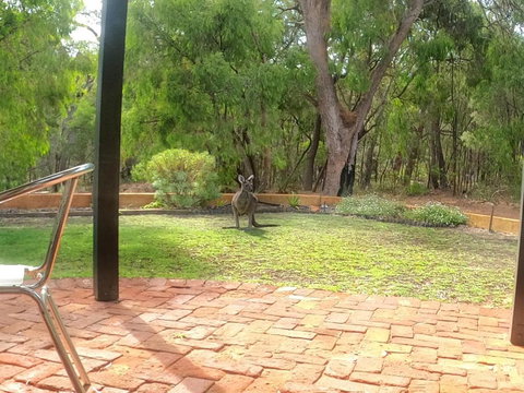 Yallingup Pet Friendly Bush Retreat - Tourism Guide 5