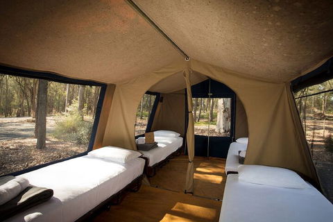 Paradise Country Farmstay - Tourism Guide 6