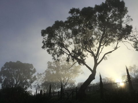 Barossa White House - Tourism Guide 3