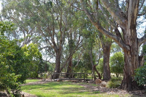Sunset Villas Cobram - Tourism Guide 6