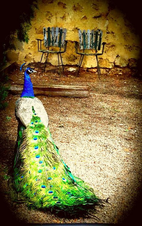 A La Folly - Travel Search 4