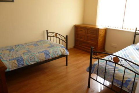 The Curly Seahorse - Travel Search 6