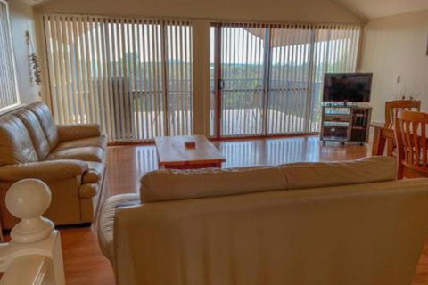 The Curly Seahorse - Travel Search 5