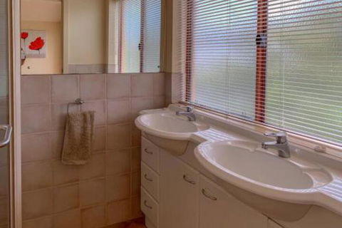 The Curly Seahorse - Travel Search 4