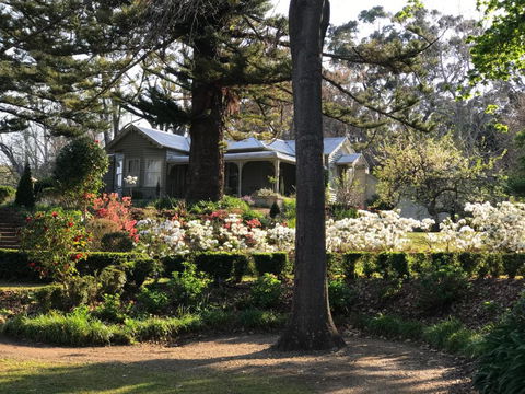 Foxglove Gardens - Cruises Travel 2