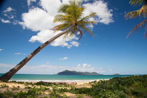 7 McNamara Wongaling Beach - Travel Search 5