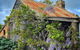 Cherry Plum Cottages - thumb 1
