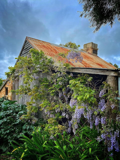 Cherry Plum Cottages - Tourism Guide 1