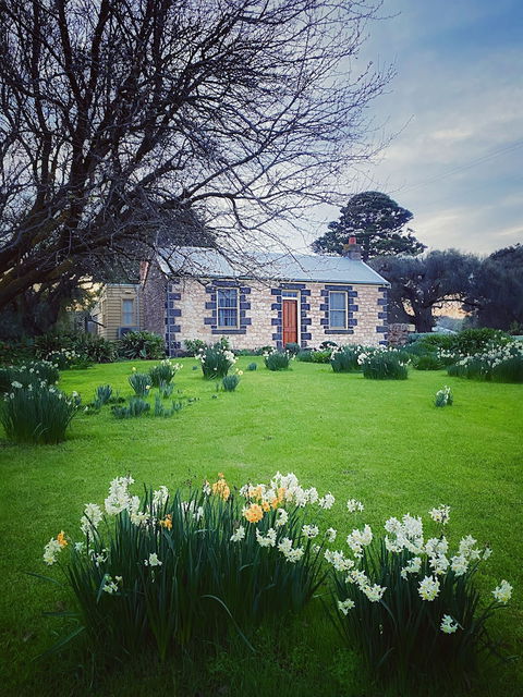 Cherry Plum Cottages - Tourism Guide 4