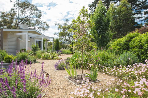 Haven Red Hill - Travel Search 6