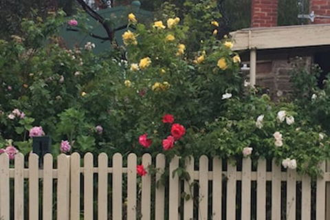 Blyth Cottage Burra - Tourism Guide 0