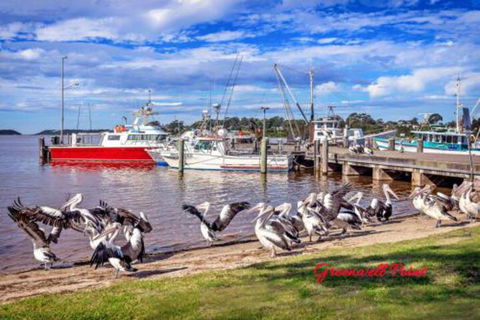 Fishermans Friend At Greenwell Point - Tourism Guide 7