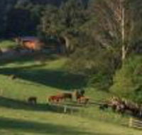 Amaroo Valley Springs