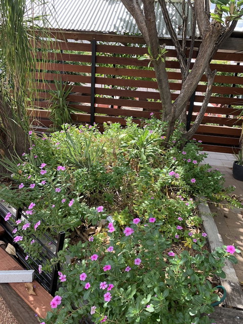 Central Motel - Travel Agents 3