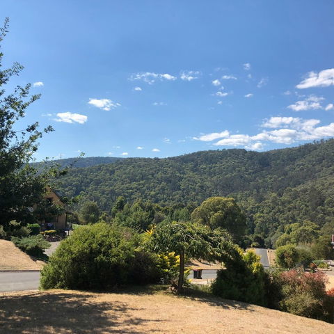 View Mount - Travel Search 1