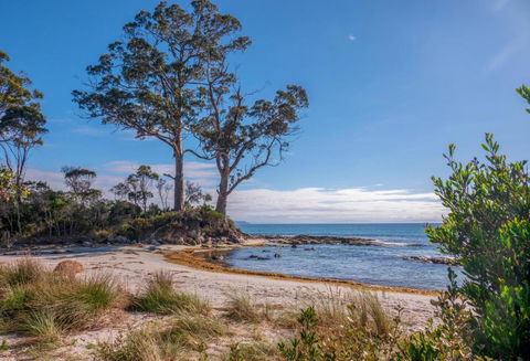 Adventure Bay Holiday Home - Travel Search 3