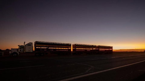 Longreach Outback Adventures - Travel Agents 2