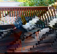 The Little Jungle Studio