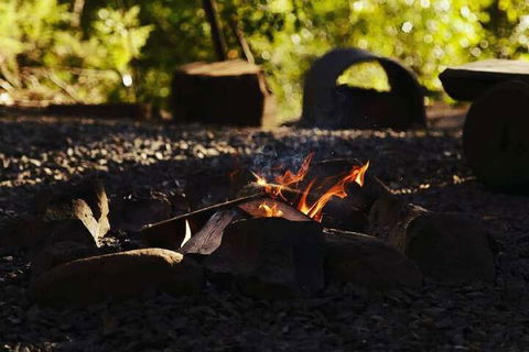 Carawirry Forest Escape - Tourism Guide 5