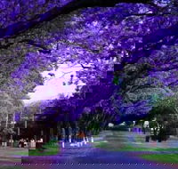 Park view on the City Fringe - Tourism Guide