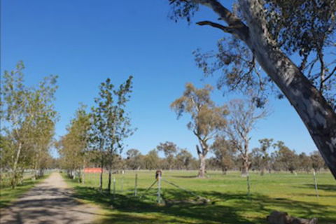 Jindera Park - Travel Search 1