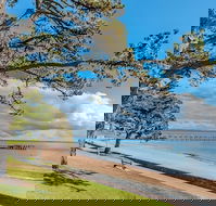 C-Scape By The Sea No.12 - Travel Agents