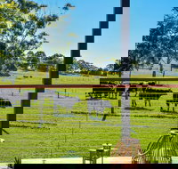 Curra Homestead Maleny - Travel Search