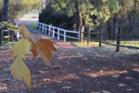 Brockman Park Estate - Travel Agents 3