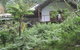 Peaceful Rainforest Wildlife Retreat - thumb 3