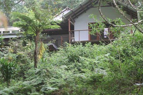 Peaceful Rainforest Wildlife Retreat - Travel Agents 5