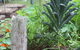 Peaceful Rainforest Wildlife Retreat - thumb 1