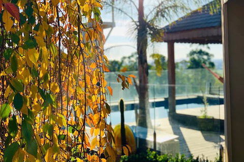 Grand Gippsland Home Sleeps Up To 28 - Travel Agents 2