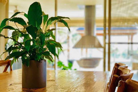 Grand Gippsland Home Sleeps Up To 28 - Travel Agents 4