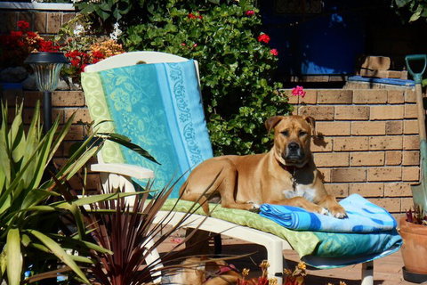 Pindari House - Travel Agents 1