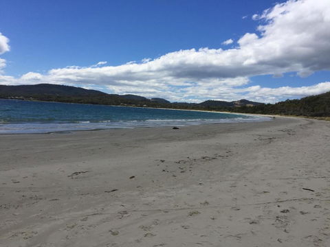 Chill Tasmania - Travel Search 3