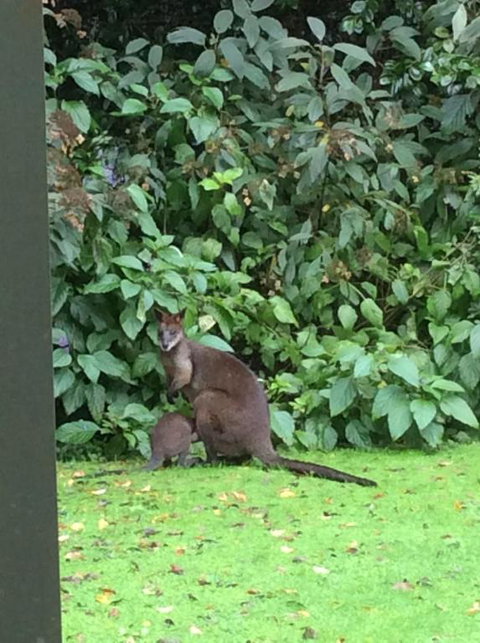 Mandalay House - Travel Agents 7