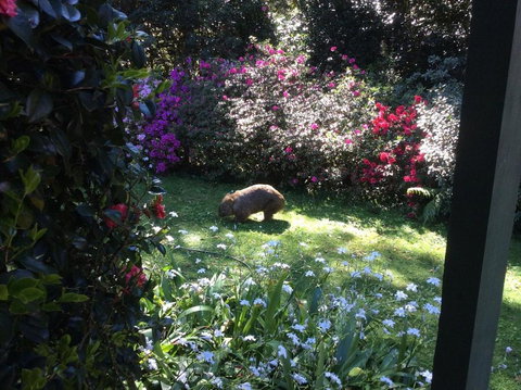 Mandalay House - Travel Agents 4