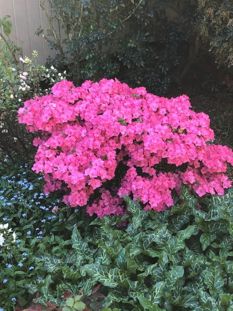 Mandalay House - Travel Agents 5