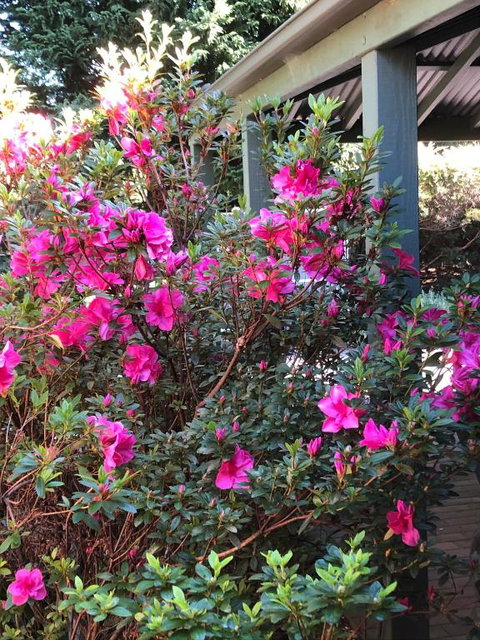 Mandalay House - Travel Agents 6