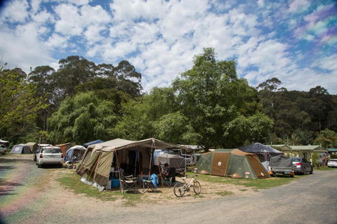 Warburton Holiday Park - Tourism Guide 2