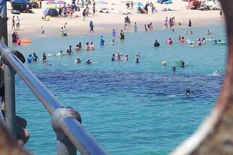 Waterfront Port Noarlunga - Tourism Guide 2